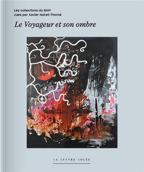 Le Voyageur et son Ombre: Les Collections du Bam Musee des Beaux
