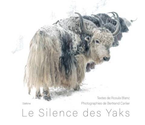 Le silence des yaks