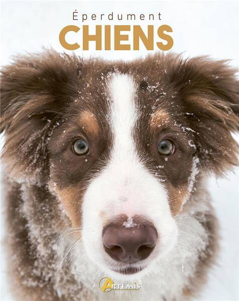 Eperdument Chiens