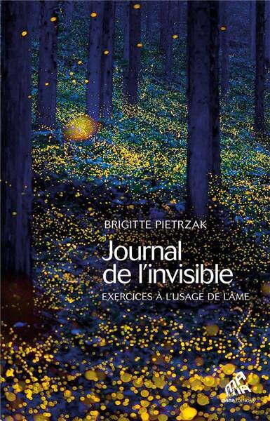 Journal de l invisible