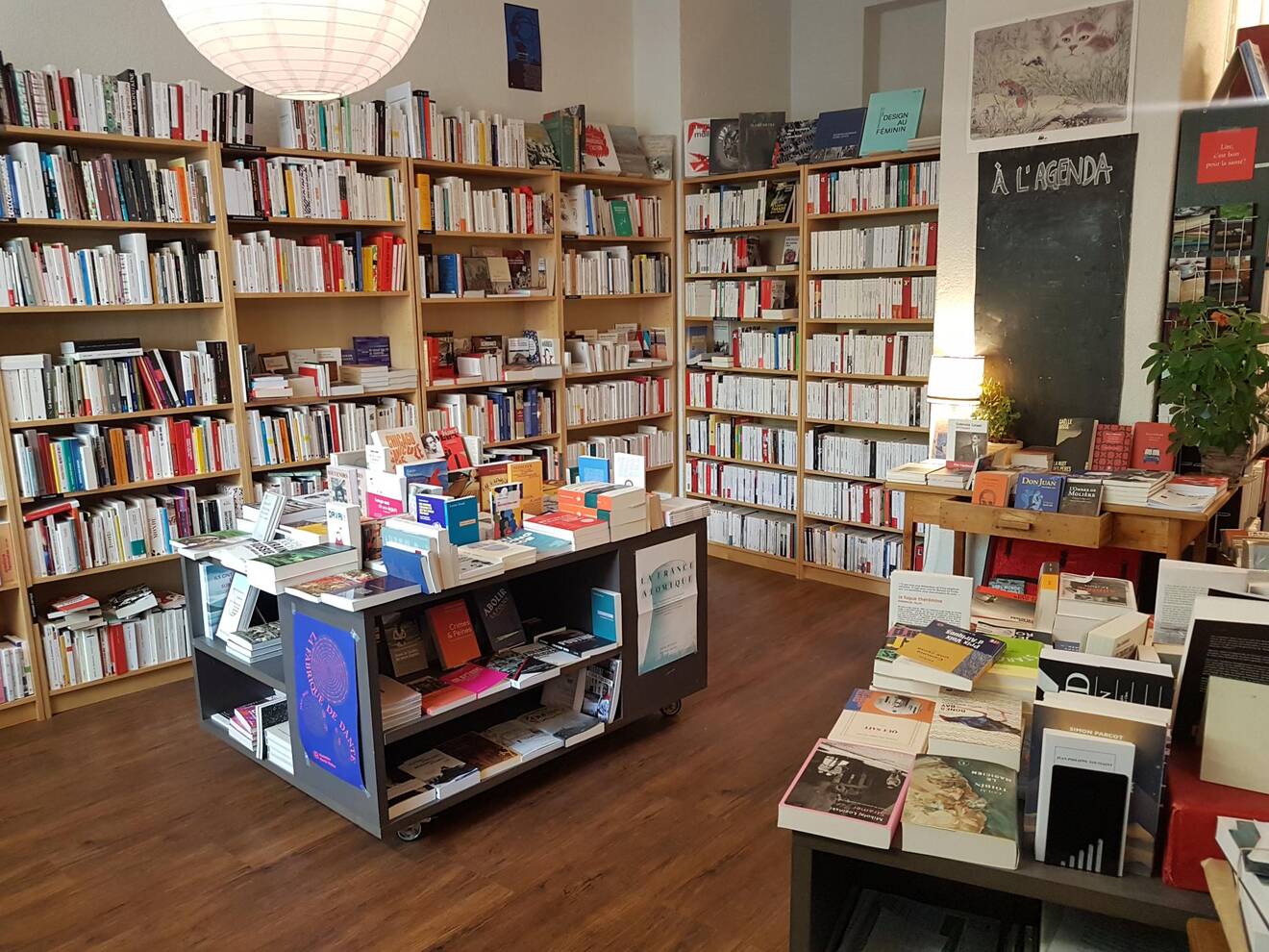 Intérieur de la librairie Basta !