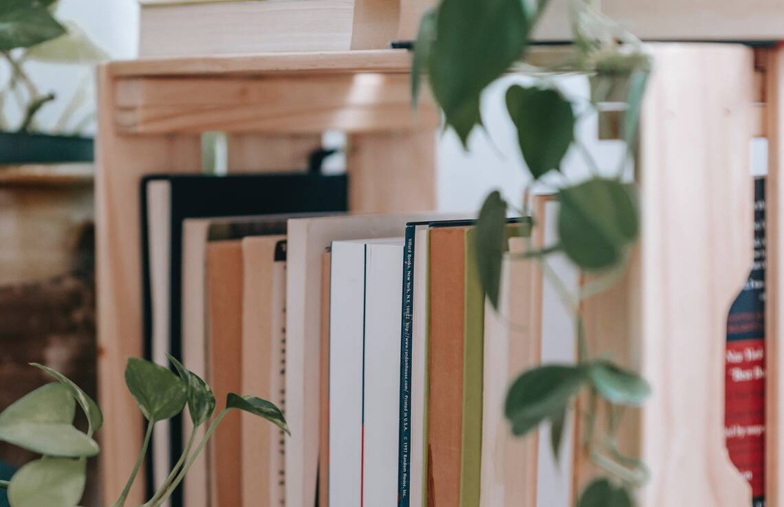 Bibliothèque avec des plantes